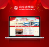 山东省情网